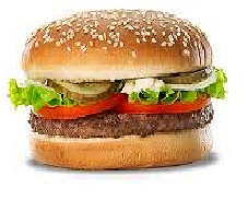 Beef Burger  ( Friet)